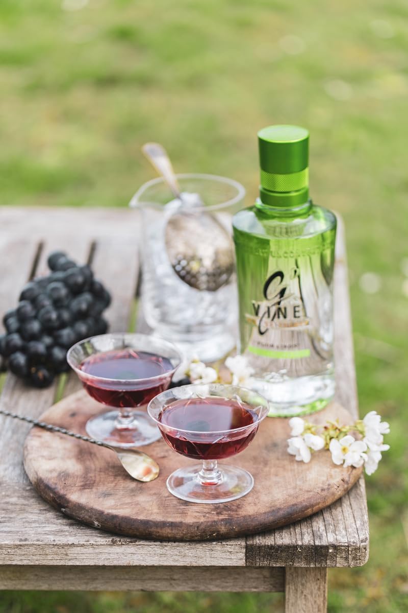 G'Vine Floraison French Gin ABV 40% 700 ml