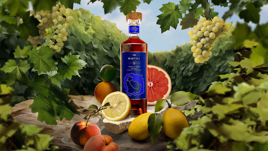 Martell Single Cru Discovery Edition : Fin Bois ABV 40% 700ml