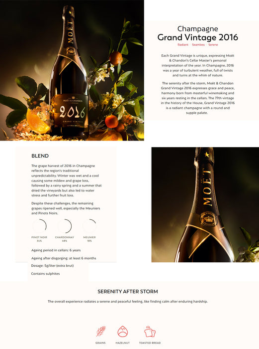 Moet & Chandon Grand Vintage Brut Champagne 2016 750ml