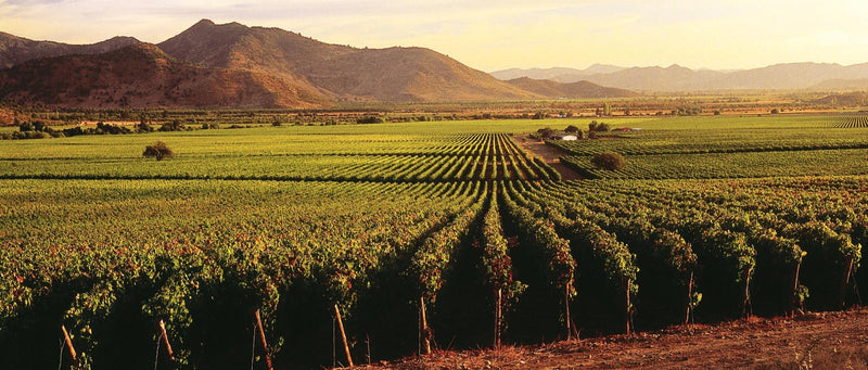 Vina Santiago Gran Reserva 2021 ABV 14% 75cl