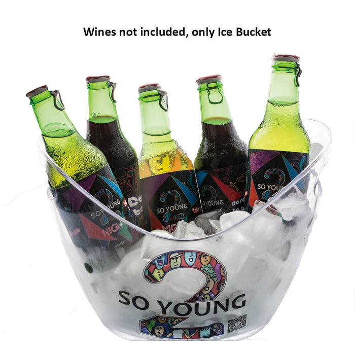 Ice Bucket (Medium Size) - So Young Brand