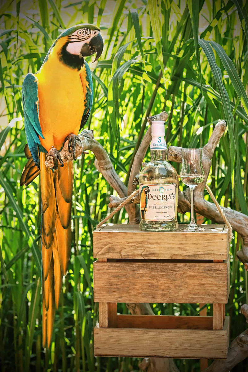 Doorly's 3 Year Old White Barbados Rum 700ml ABV 47%