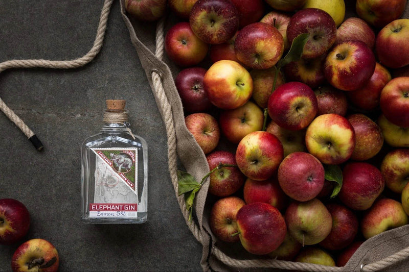 Elephant Handcrafted London Dry Gin 750ml ABV 45%
