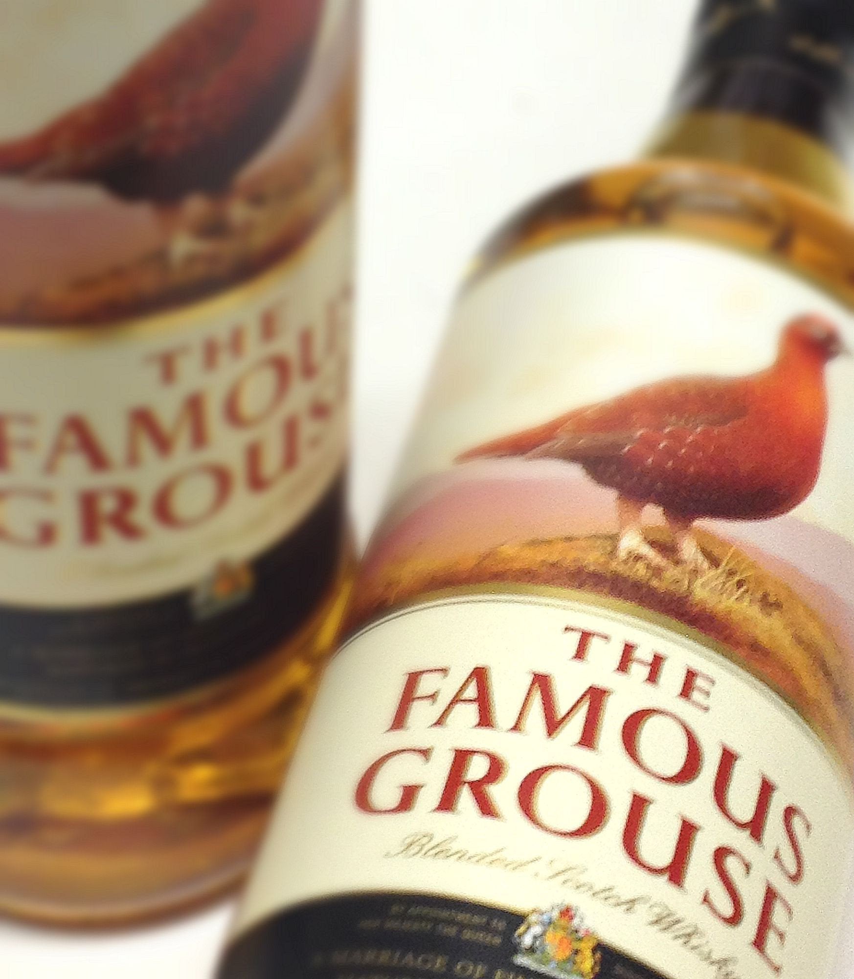 ウイスキー The Famous Grouse Finest Scotch Whisky Famous Grouse Scotch Whisky 70cl — The Liquor Shop Singapore